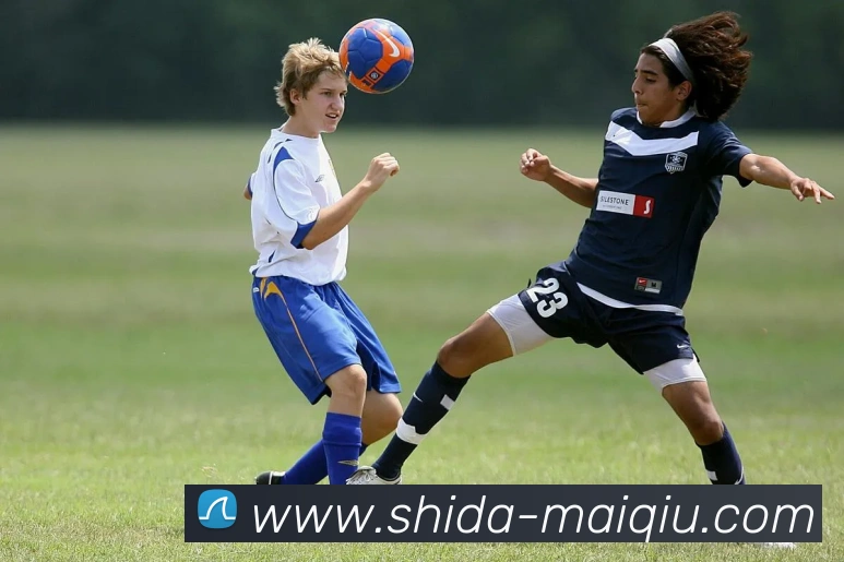 多媒体互动体验