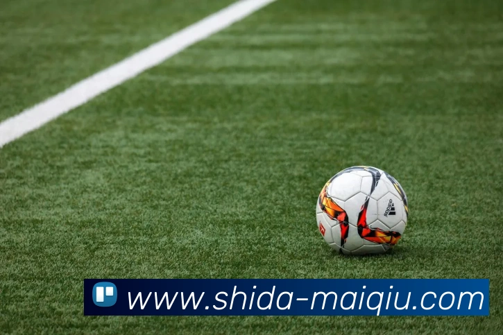 买球APP 高清赛事图